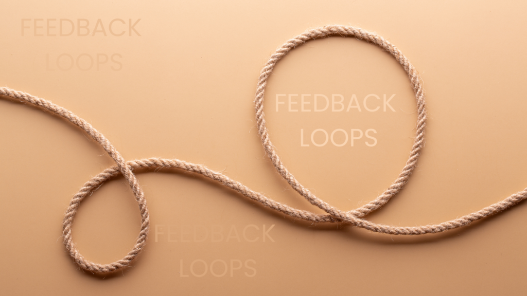 Feedback Loop